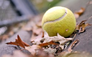 Tennis-fall